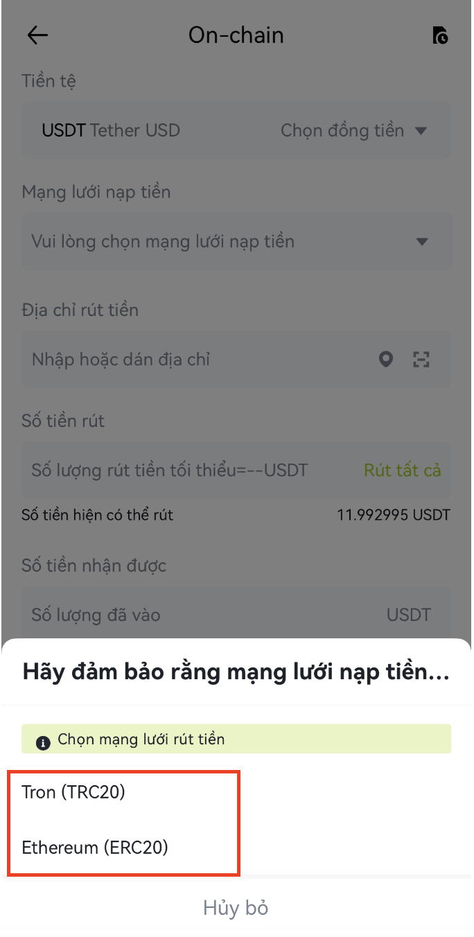 截屏2025-04-03 13.19.39.png